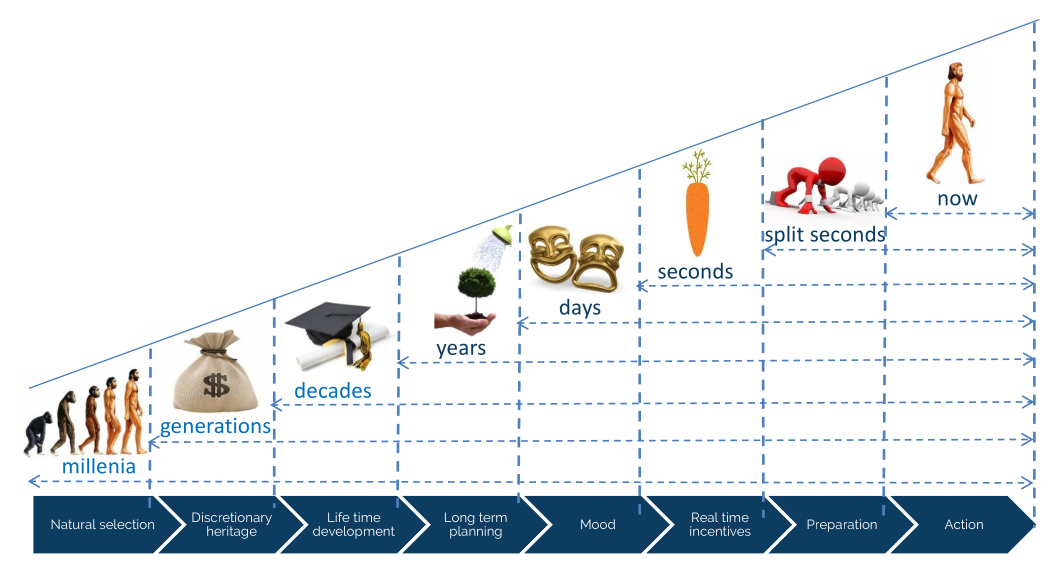 Display 1: Shaping of behavior by Nature and Nurture
